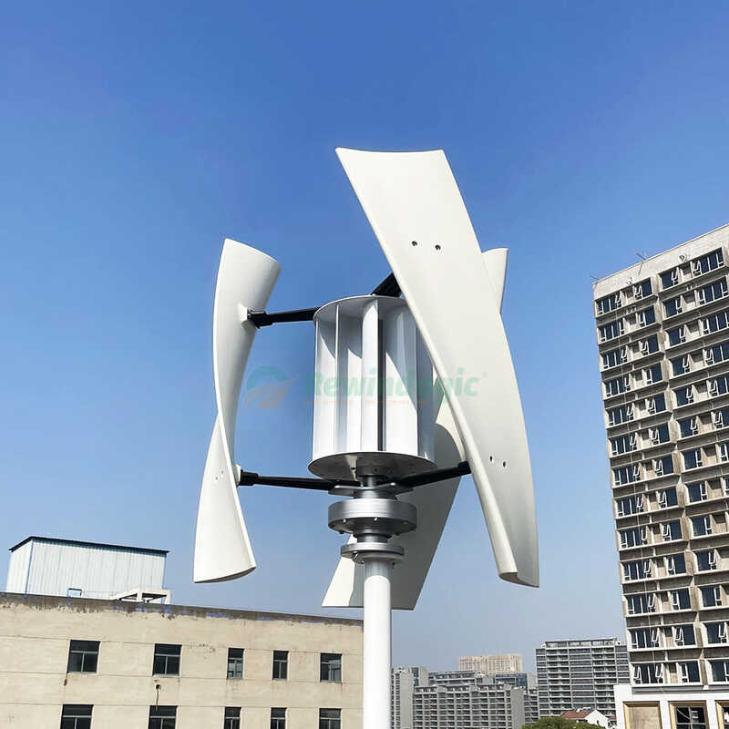Maglev Wind Turbine Generator 24V 48V Free Energy House Windmill Low ...
