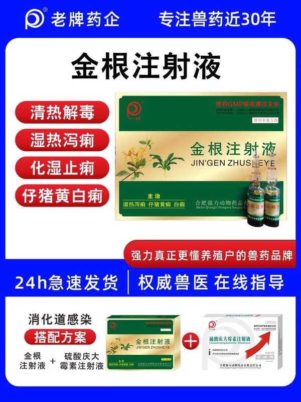 Veterinary Medicine Golden Root Injection Veterinary Injection Piglet ...