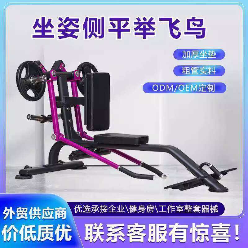 Commercial Seated Lateral Raise Gym Triangle Muscle Strength Training ...