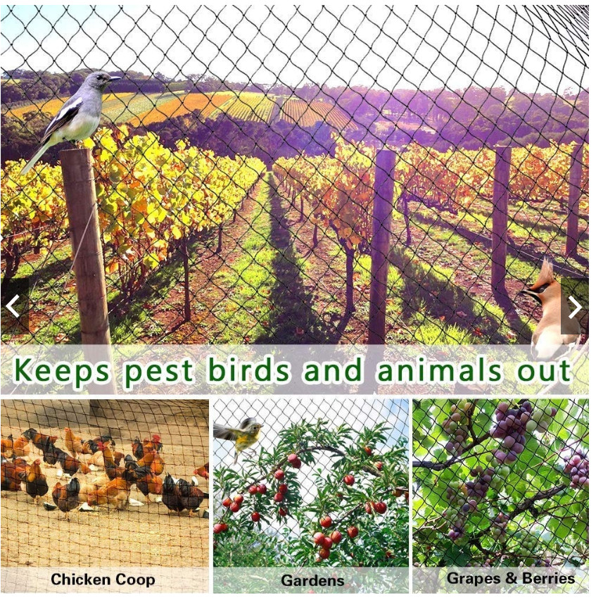 Chicken Net/50/100 METERS Range Net/Poultry Net/Fish Net/ Free 200 ...