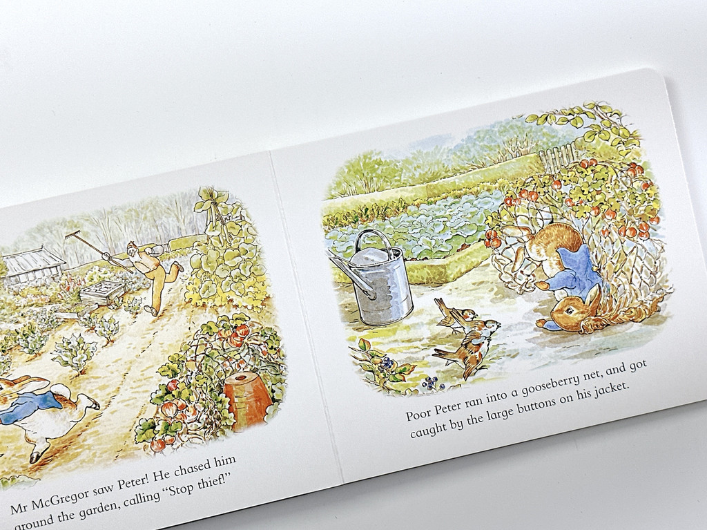 Original English Version Children's Exquisite Illustrated Story The ...