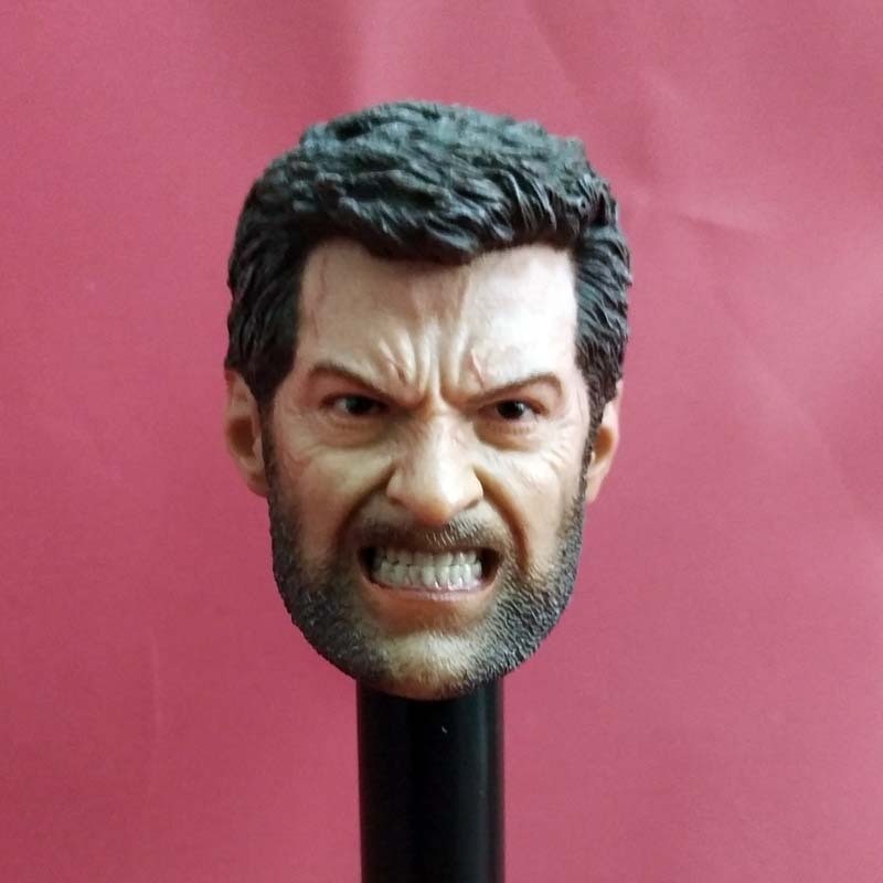 1/6 Scale Wolf Rogan Sculpt Male Soldier Head Carving Model Toy For ...