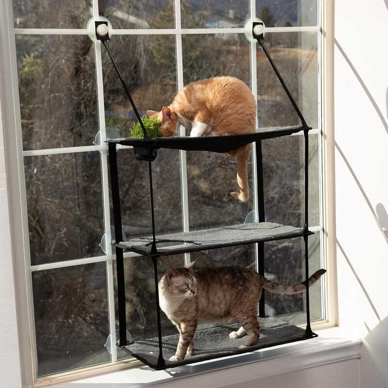 K&H Pet Products EZ Mount Perch 3 Level Kitty Sill with Grow Station ...