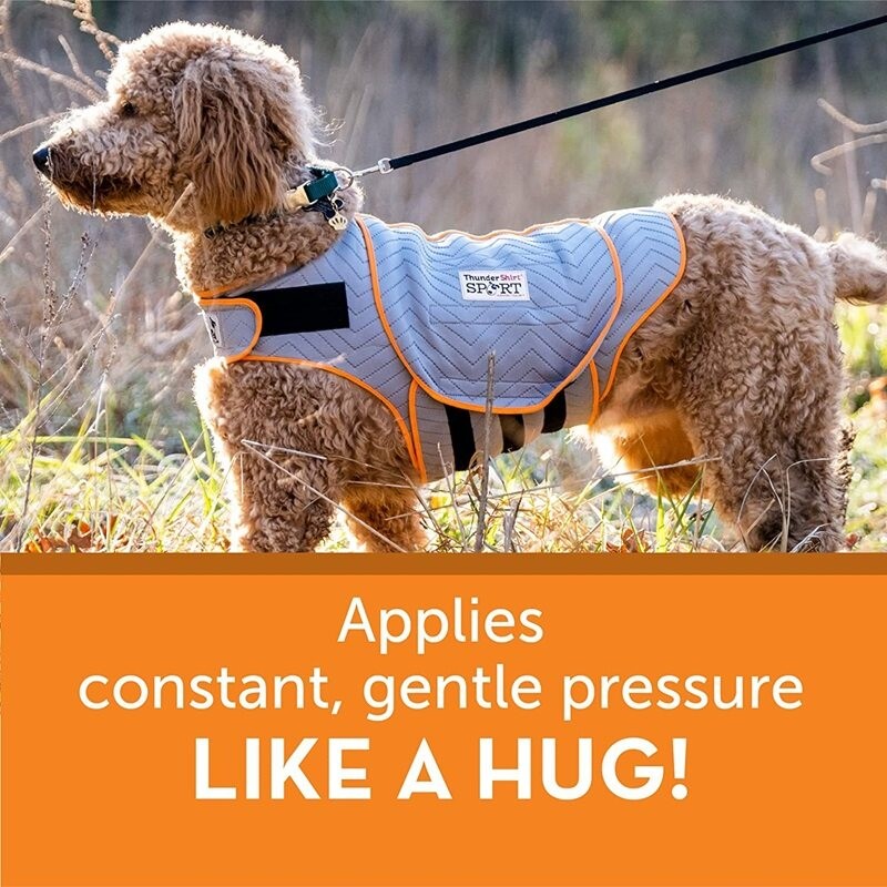 Curated visual reference: Picture Idea: Pawsome Pet Dog Sport Anxiety Vest Pet Cat Clothes Dogs