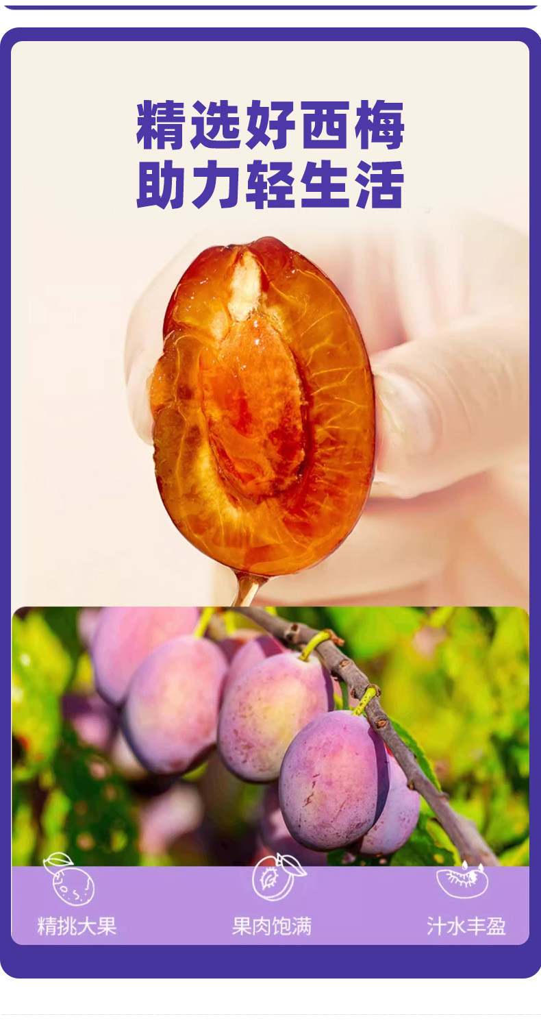 ZEJUNPrebiotic Ximei Apple Cider Vinegar 0, Fresh Pressed Original