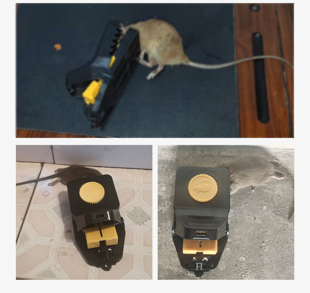 Upgraded Large Mouse Rat Traps - Safety High Sensitive Snap Big Plastic ...