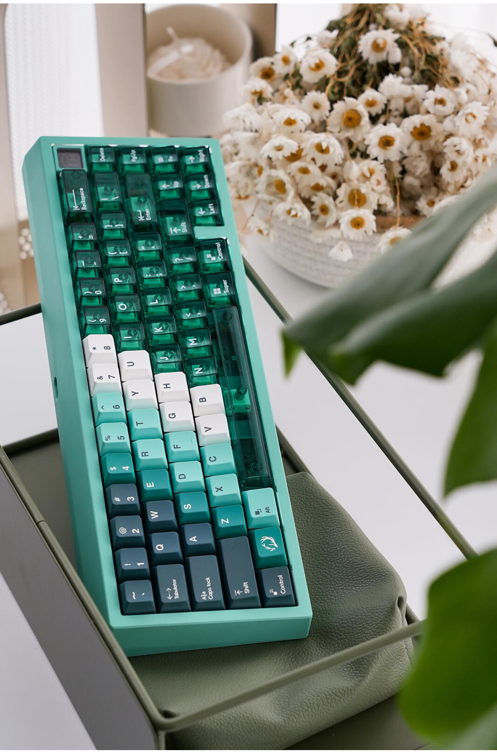 Forest Keycaps Gradient Green PBT+PC Light through Cherry profile ...