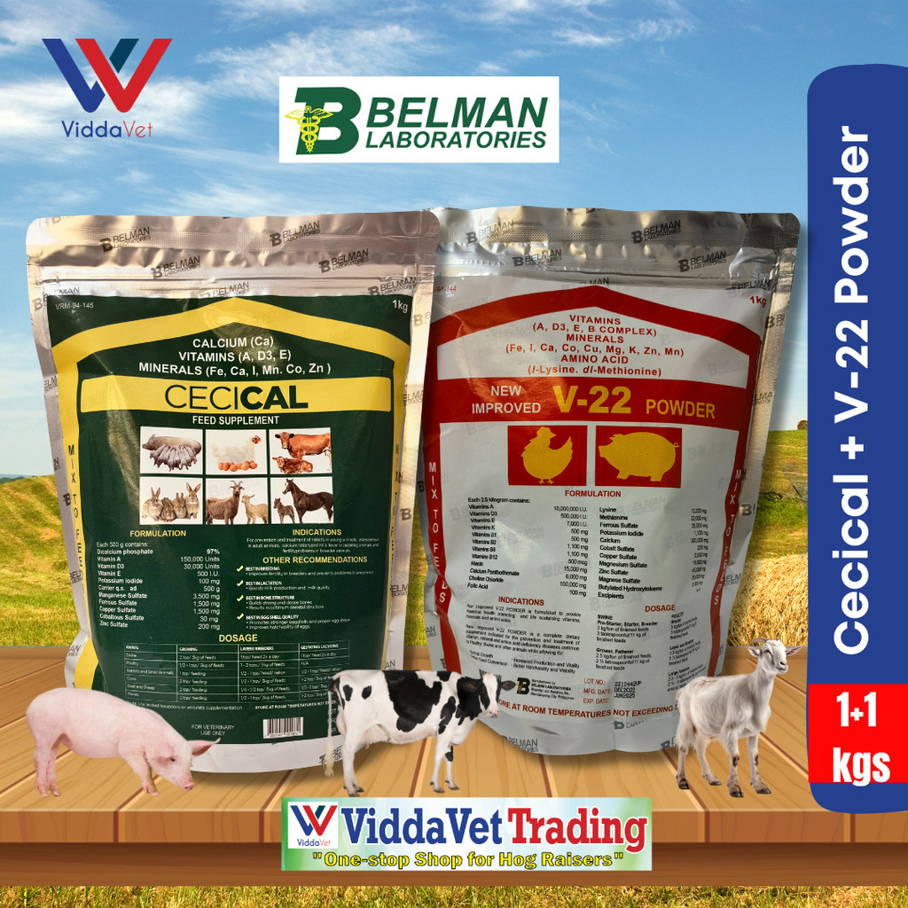 1kg Cecical Powder+1kg V22 Powder Viddavet 1kg cecical vitamins 1kg V22 ...