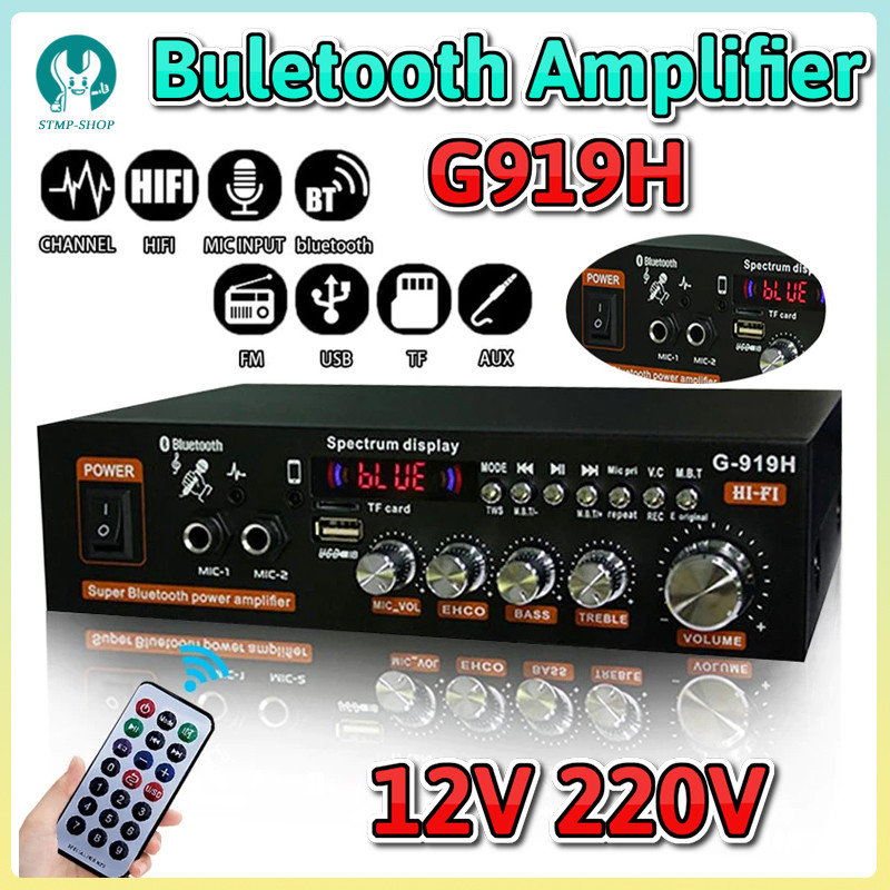 12V 220V 800W Bluetooth 5.0 Amplifier for speaker 2.0 Channel Car Audio