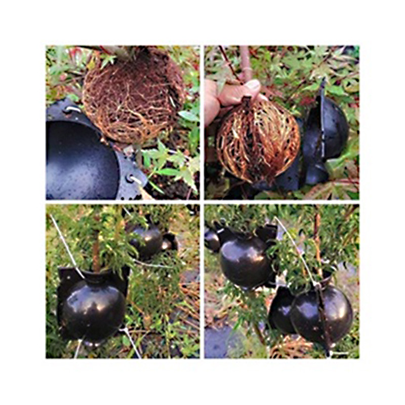 Plant Rooting Device Plant Grafted High Pressure Breeding Ball Plant ...