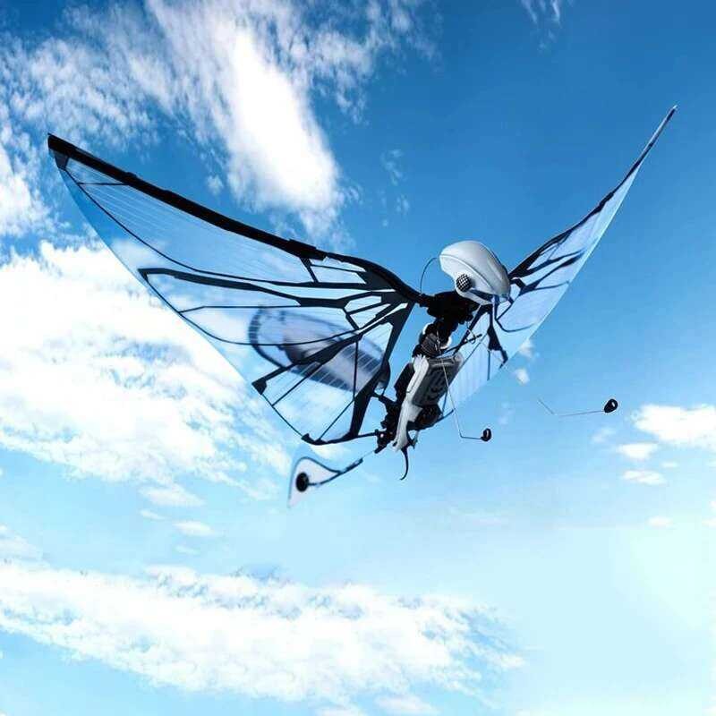 B5 Bionic 1 Bird Intelligent Aircraft Insect Electric Remote Control ...