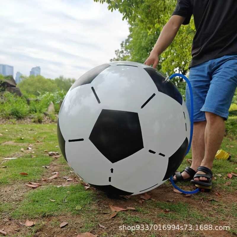 9D Outside Flowering That For Parent-Grass Interaction On The Beach Of ...