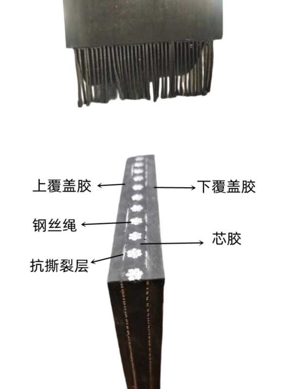 Steel rope conveyor bucket elevator ST1000 ST1600 steel wire belt TGD ...