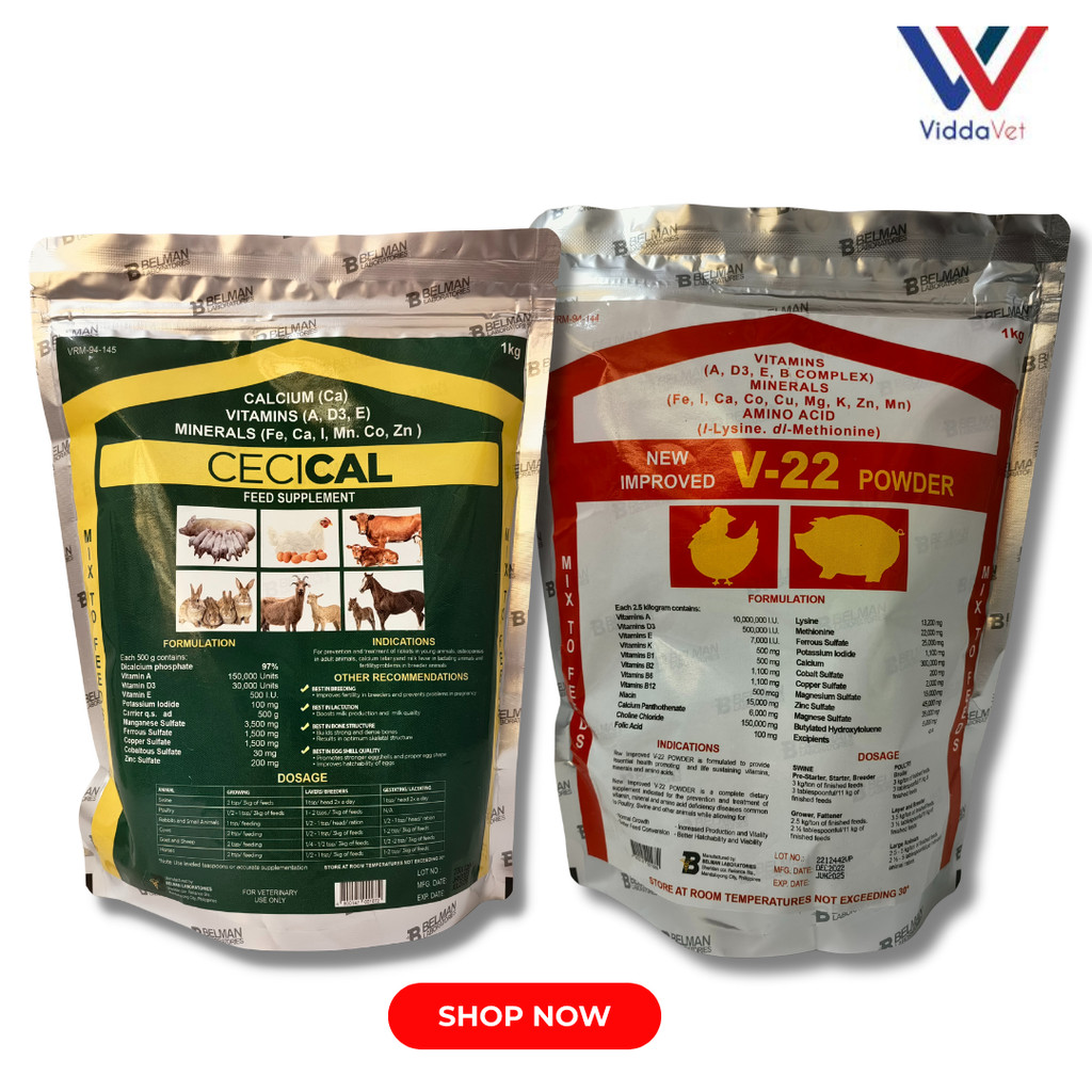 1kg Cecical Powder+1kg V22 Powder 1kg cecical vitamins 1kg V22 calcium ...