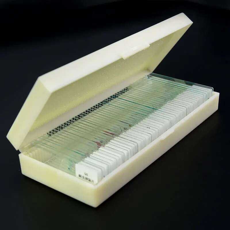 Prepared Glass Slides Biological Microscope Slides Specimen Slides For ...