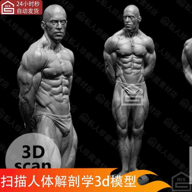 ZBrush scans the anatomy of the human body, male muscles, carves ...