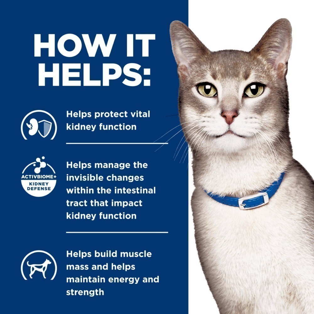 Hill's Prescription Diet k/d Kidney Care with Chicken Wet Cat Food