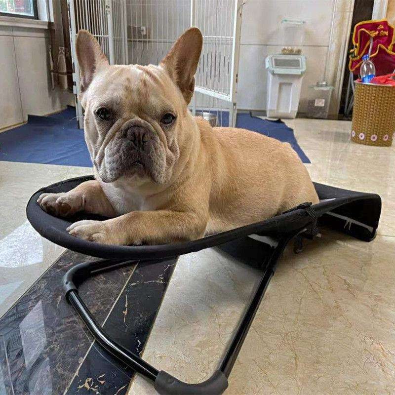 Baby Rocking Chair, Dog And Cat Rocking Chair, Adjustable Douyin Pet ...