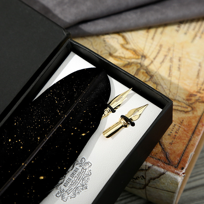 Calligraphy Feather Dip With 2 Nib Set Quill Fountain Writing Pen Gift ...