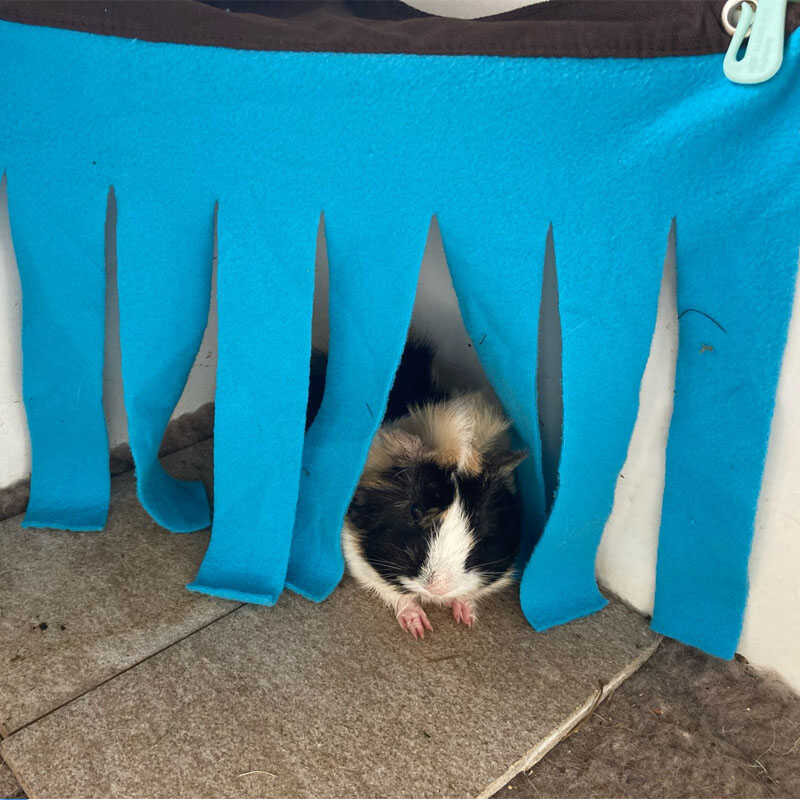 A closer look at Tassel Decoration Hamster Cage