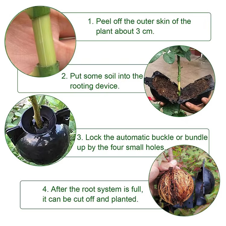 Plant Rooting Device Plant Grafted High Pressure Breeding Ball Plant ...