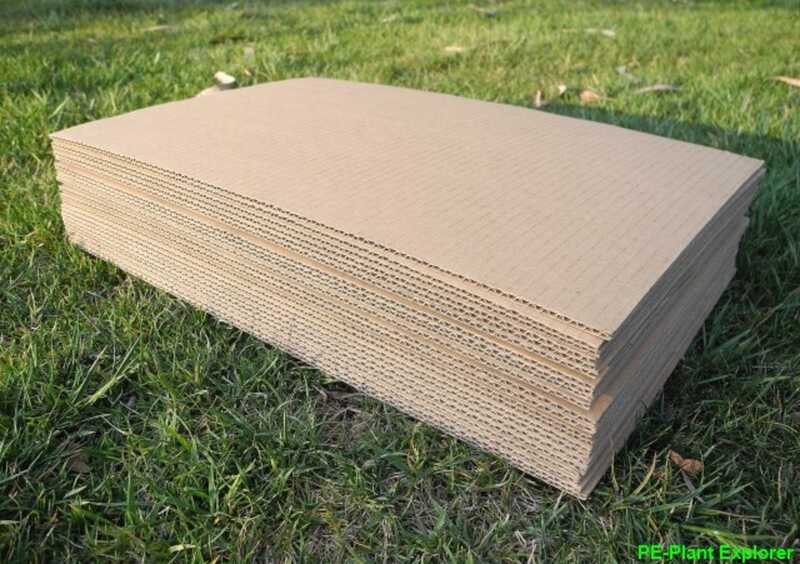 Corrugated cardboard for plant-owned professionals | Shopee Philippines