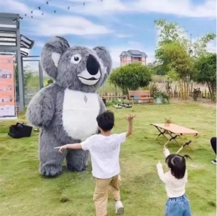 Inflatable Koala Mascot Costume - Grey/Pink Life-Size Walkable Doll for ...