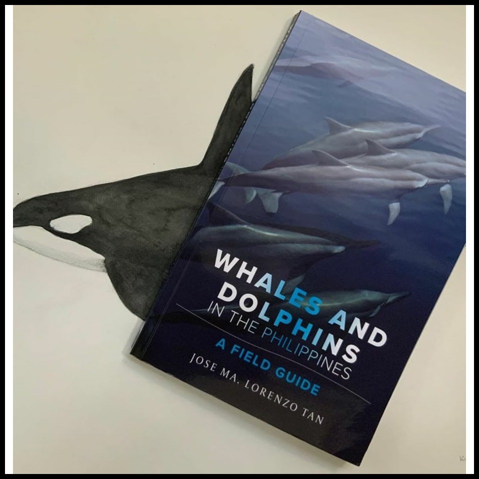 ๑ ♒ Whales and Dolphins in the Philippines: A Field Guide | Shopee ...