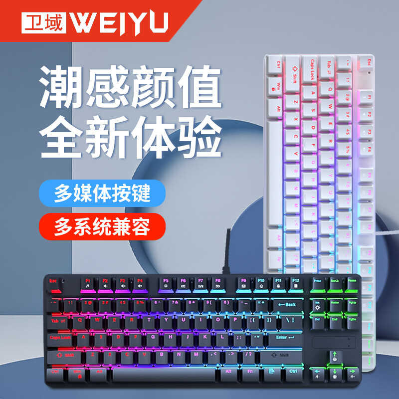 F7 87 Key High Aesthetic Wired Mechanica Keyboard, Bue Axis Gaming, E ...