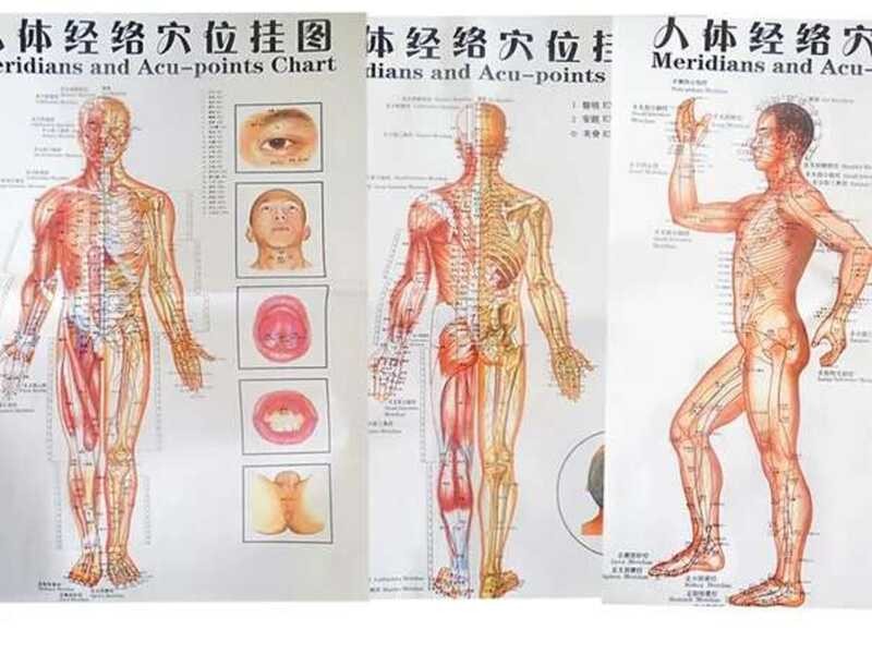 Free Ship g Color Body Acupuncture Points Chart /Meridian Points Side ...