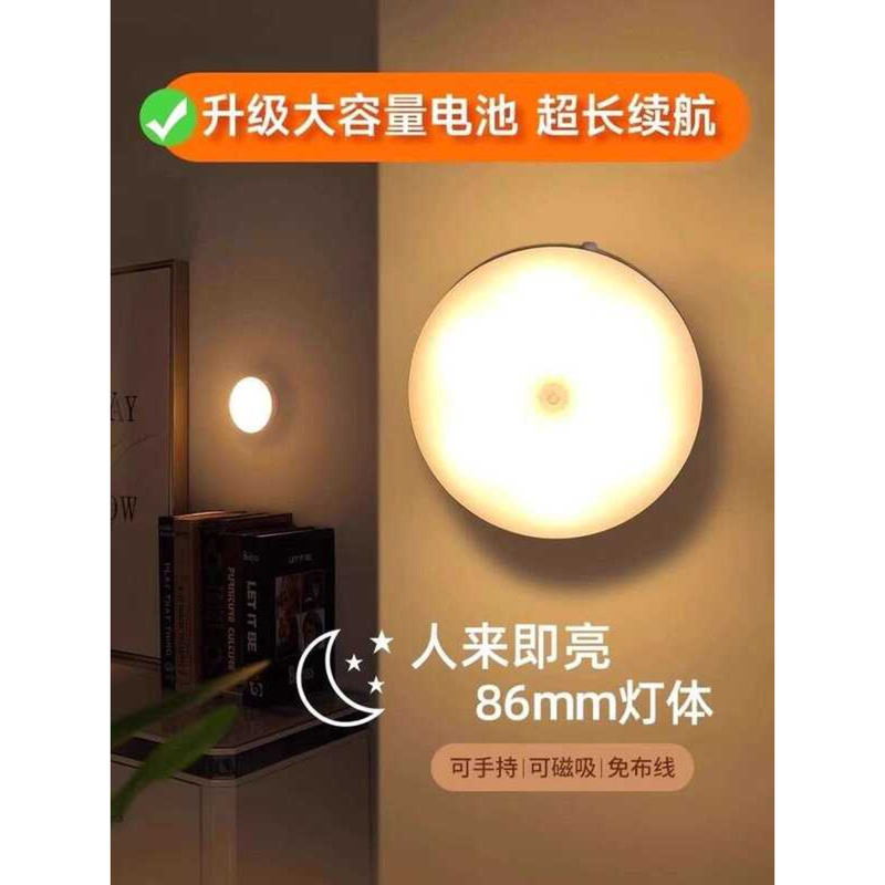 Motion Sensor Nighttime Automatic Corridor Intelligent Voice-Controlled ...