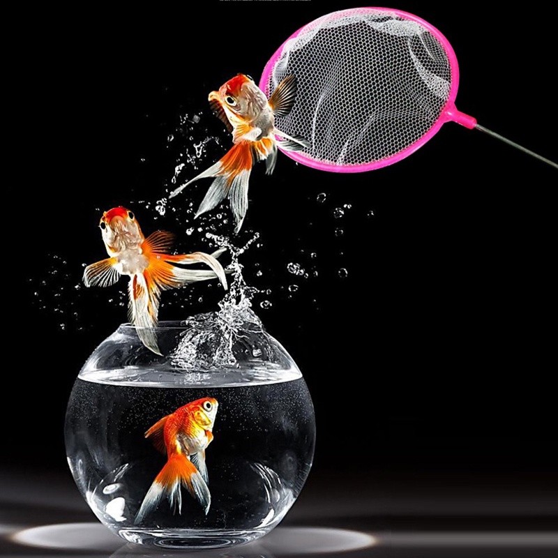 【DDC AQUA】Fish net and Shrimp Net Aquarium Colorful Round Fish Net For ...