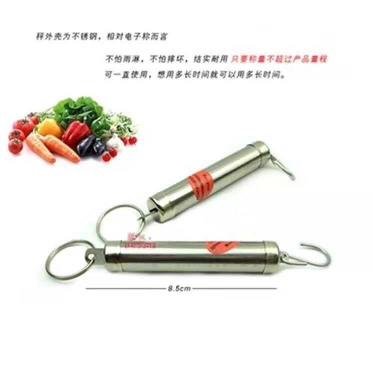 Mini Spring Scale Stainless Steel Handheld Portable Tube Scale ...