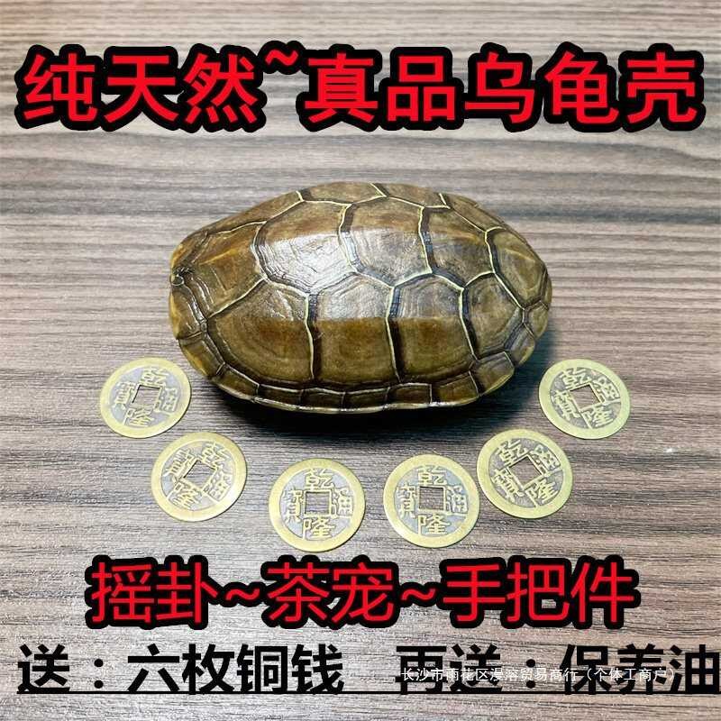True 2 Shell, Literary Play, Grass Turtle Armor, Copper Coins, Shaking ...