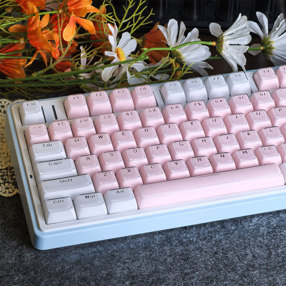 Jelly Keycap OEM Profile PC PBT 135 Keys Light Transmission Wooting MAD ...