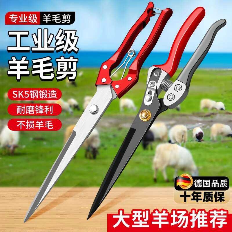 New wool journalist, lana-distinctive scissors, woollen farm scissors ...