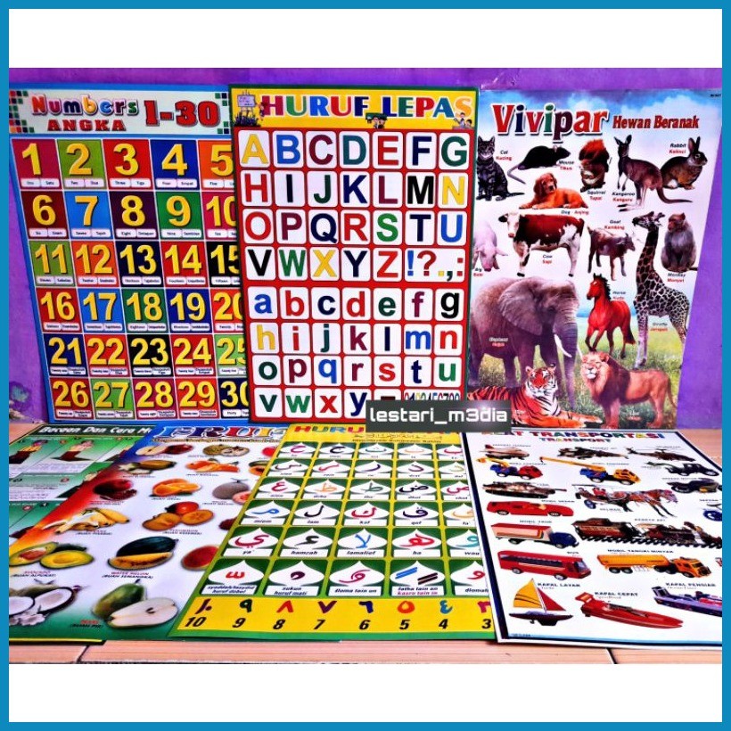Poster (ECER)/letter recognition educational wall poster/fruit poster ...