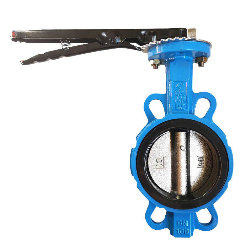 Manual Worm Gear Lined Fluorine Butterfly Valve Hot Water Inlet Clamp ...