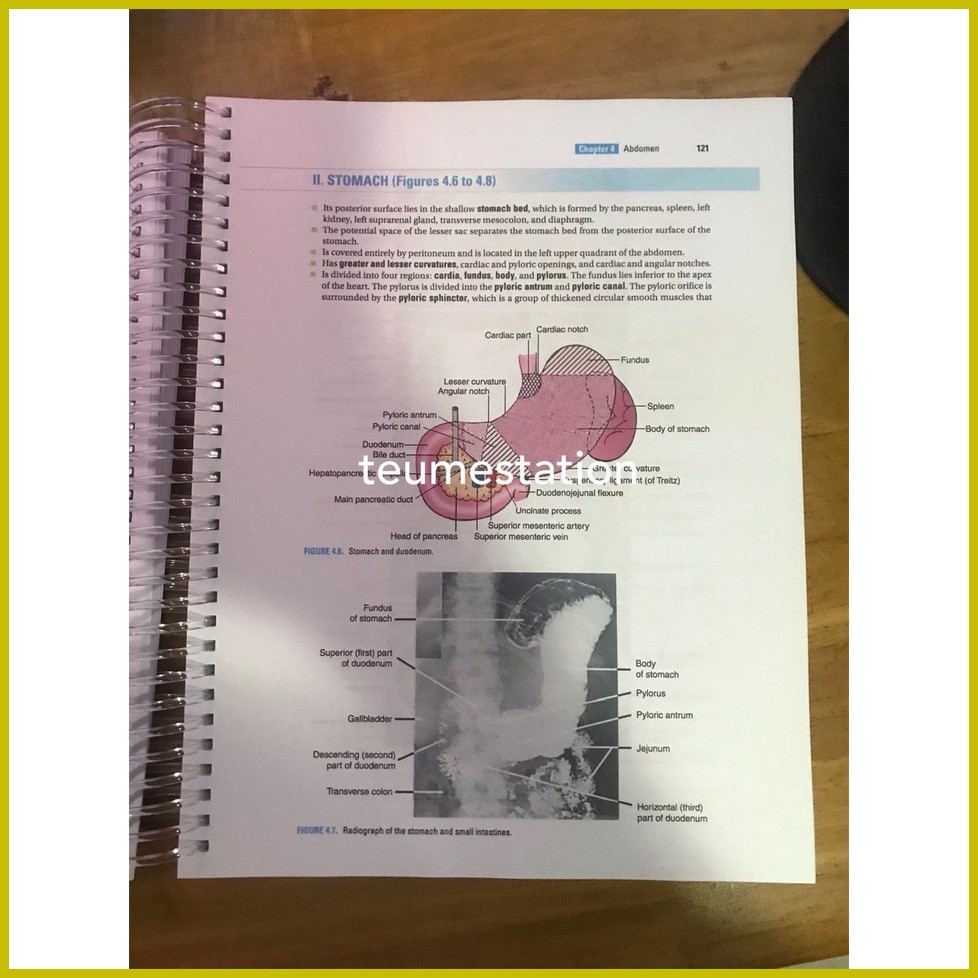 ♕ ๑ BRS Gross Anatomy, 9th Edition | Shopee Philippines