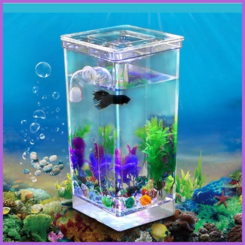 ۩ Wjhome Mini Simple Fish Tank Self-cleaning Small Desktop Fish Tank ...