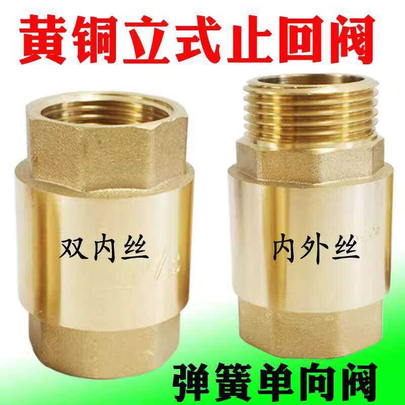 Brass spring vertical one-way pipe threaded 4 / 6 flat water check ...