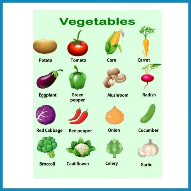 ⊙ Vegetables, Laminated Educational Charts for Kids and Students ...