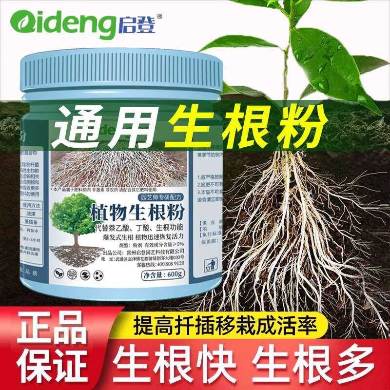 Specialized Strong Rapid Rooting Powder for Transplanting, Plant ...