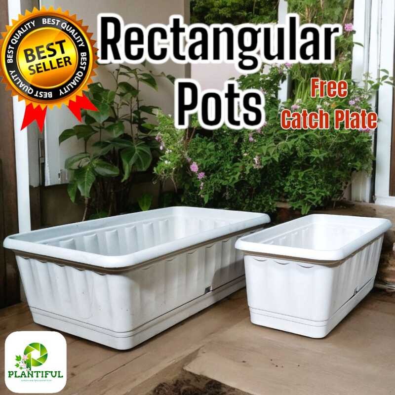 Rectangular Pots With Catch Plate Great For Your Plants And Veggies ...