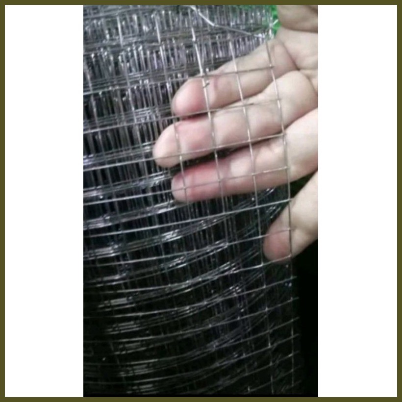 per yard high quality welded gi screen / chicken wire G20 1/2