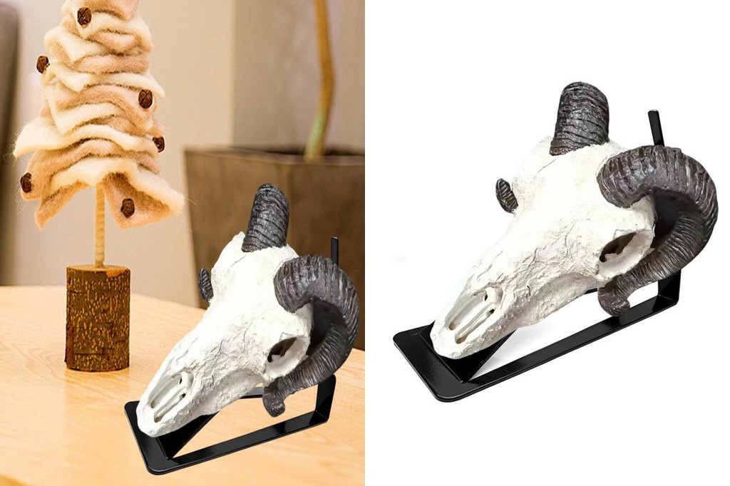 CHEER Skull Display Stand Desktop Skull Display Stand Premium Deer ...