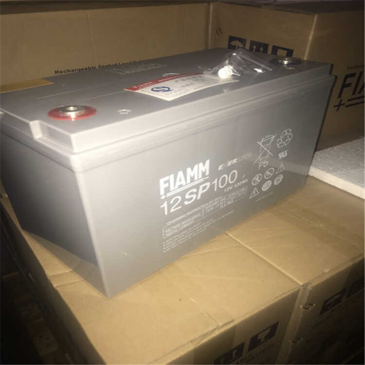 FIAMM Extraordinary Battery 12Sp100 Communication Room Backup Power UPS ...