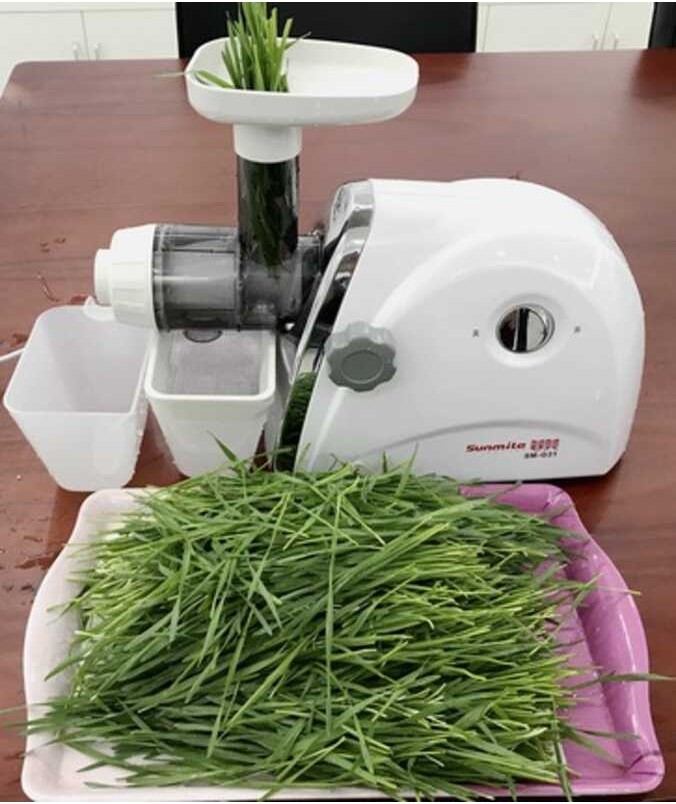 Fruit Electric Juicer Multi-Functional Food Processer Extractor Press ...