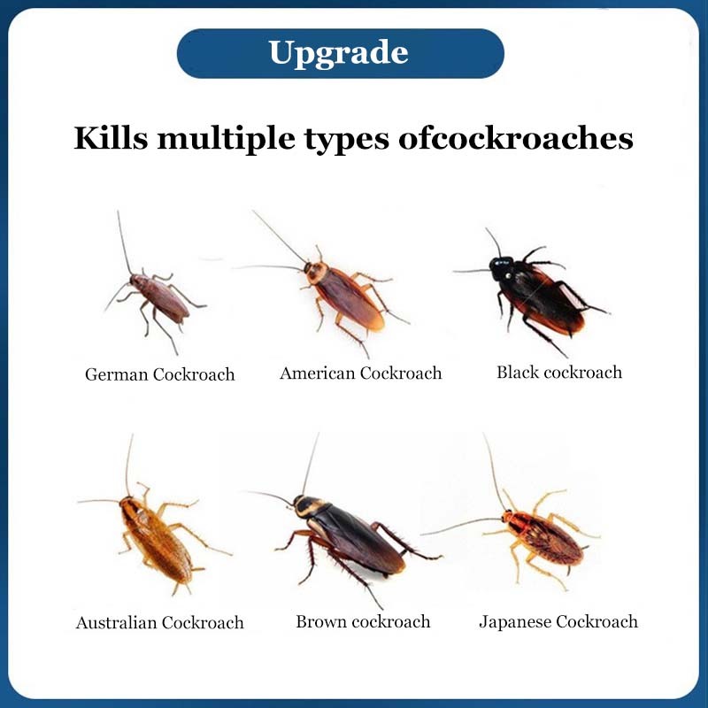 Cockroach killer spray cockroach killer Cockroach Bait Cockroach trap ...