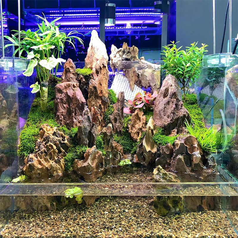 S/M/L Dragon Stone Big Size Natural Aquarium Stone Rock for Fish Tank ...